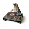 Škrábadlo pro kočku SUCK UK DJ Scratching