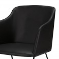 Židle s područkami Blanka (SET 2 ks), černá kůže, černá